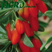 1agro.com.ua