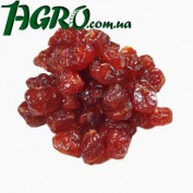 1agro.com.ua