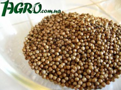 1agro.com.ua