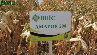 1agro.com.ua