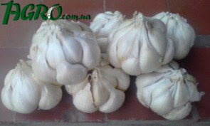 1agro.com.ua