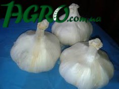 1agro.com.ua
