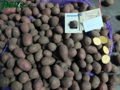 1agro.com.ua