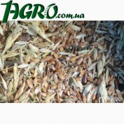 1agro.com.ua