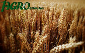 1agro.com.ua
