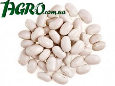 1agro.com.ua