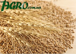 1agro.com.ua