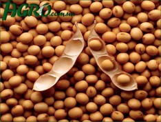 1agro.com.ua