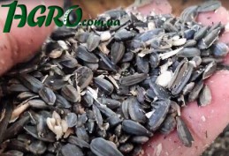 1agro.com.ua