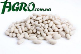 1agro.com.ua