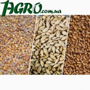 1agro.com.ua