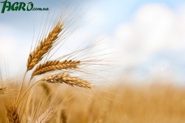 1agro.com.ua