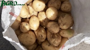 1agro.com.ua