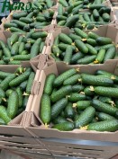 1agro.com.ua