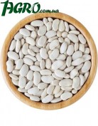 1agro.com.ua