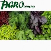 1agro.com.ua
