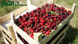 1agro.com.ua