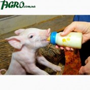 1agro.com.ua