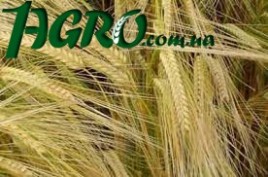 1agro.com.ua