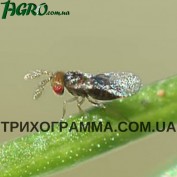1agro.com.ua