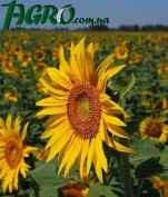 1agro.com.ua