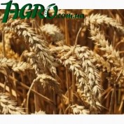 1agro.com.ua