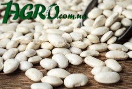 1agro.com.ua