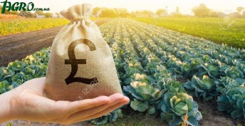 1agro.com.ua