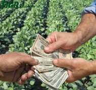 1agro.com.ua