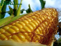 1agro.com.ua