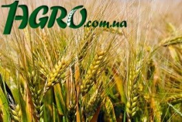 1agro.com.ua