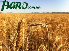 1agro.com.ua