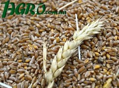 1agro.com.ua