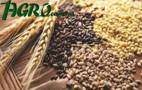 1agro.com.ua