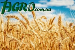 1agro.com.ua