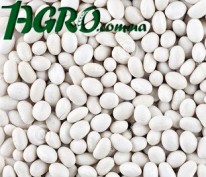 1agro.com.ua