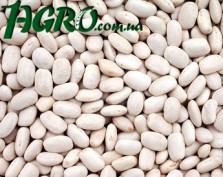 1agro.com.ua