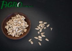 1agro.com.ua