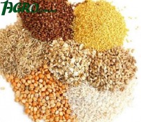 1agro.com.ua