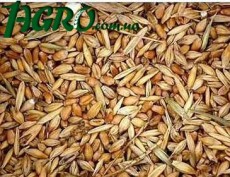 1agro.com.ua