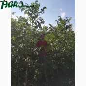 1agro.com.ua