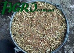 1agro.com.ua