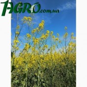 1agro.com.ua