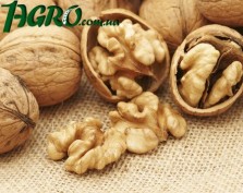 1agro.com.ua