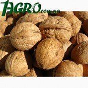 1agro.com.ua