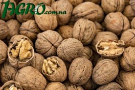 1agro.com.ua