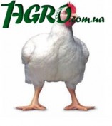 1agro.com.ua