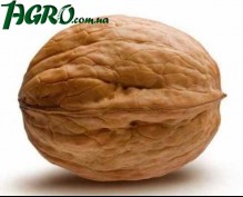 1agro.com.ua