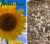 1agro.com.ua