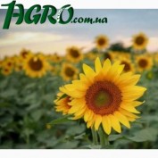 1agro.com.ua